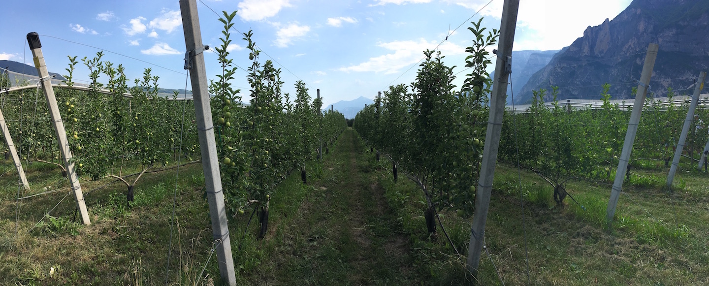 Slide Apot Trentino Frutticolo Sostenibile